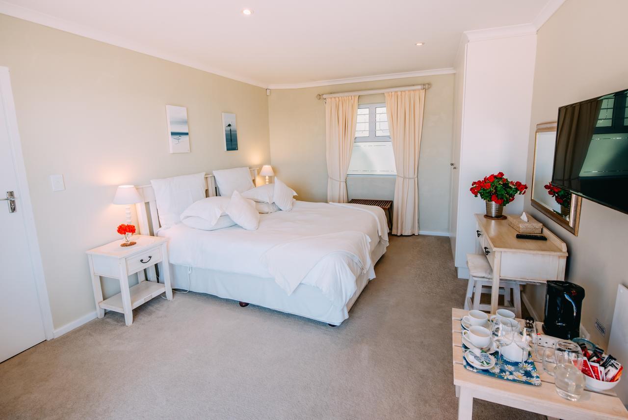 Dolphins' Playground Beachfront B&B Plettenberg Bay Pokój zdjęcie