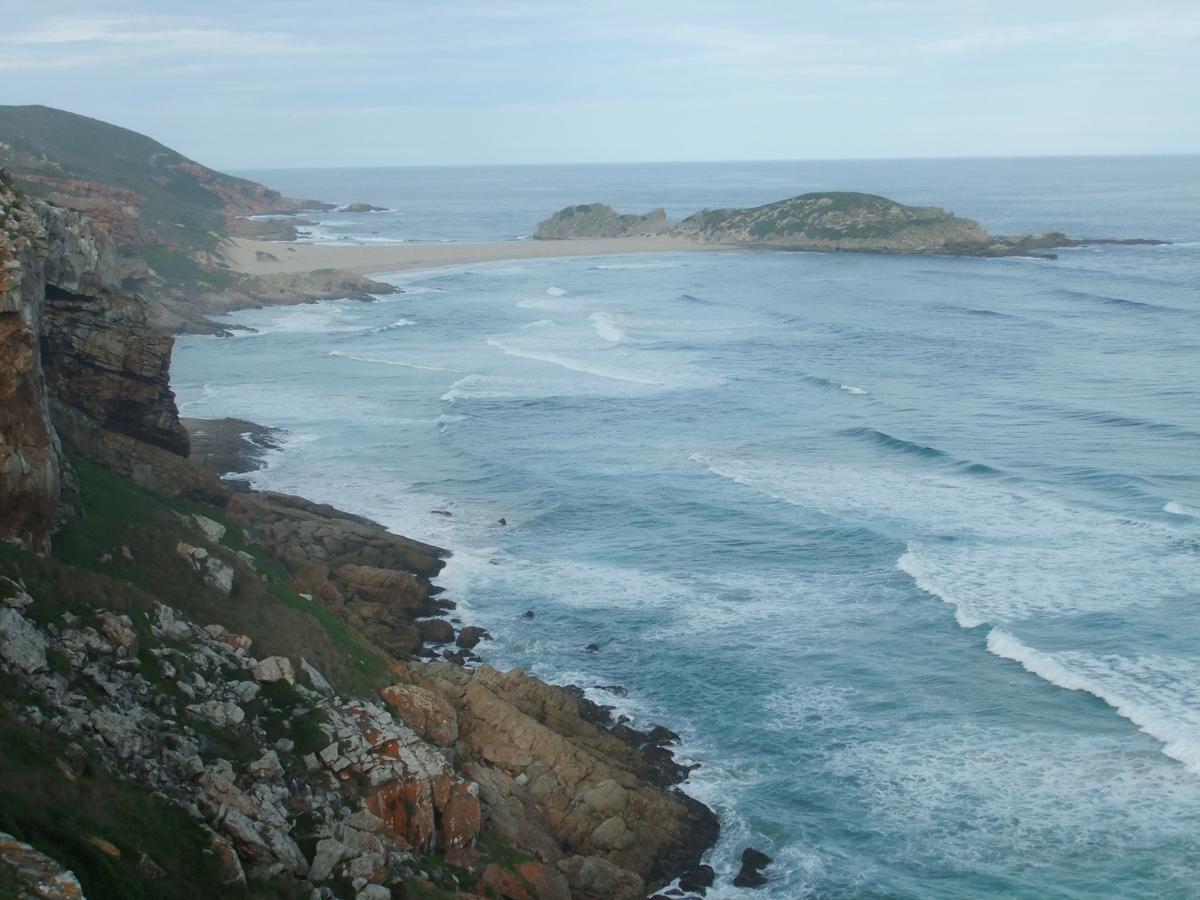 Dolphins' Playground Beachfront B&B Plettenberg Bay Zewnętrze zdjęcie